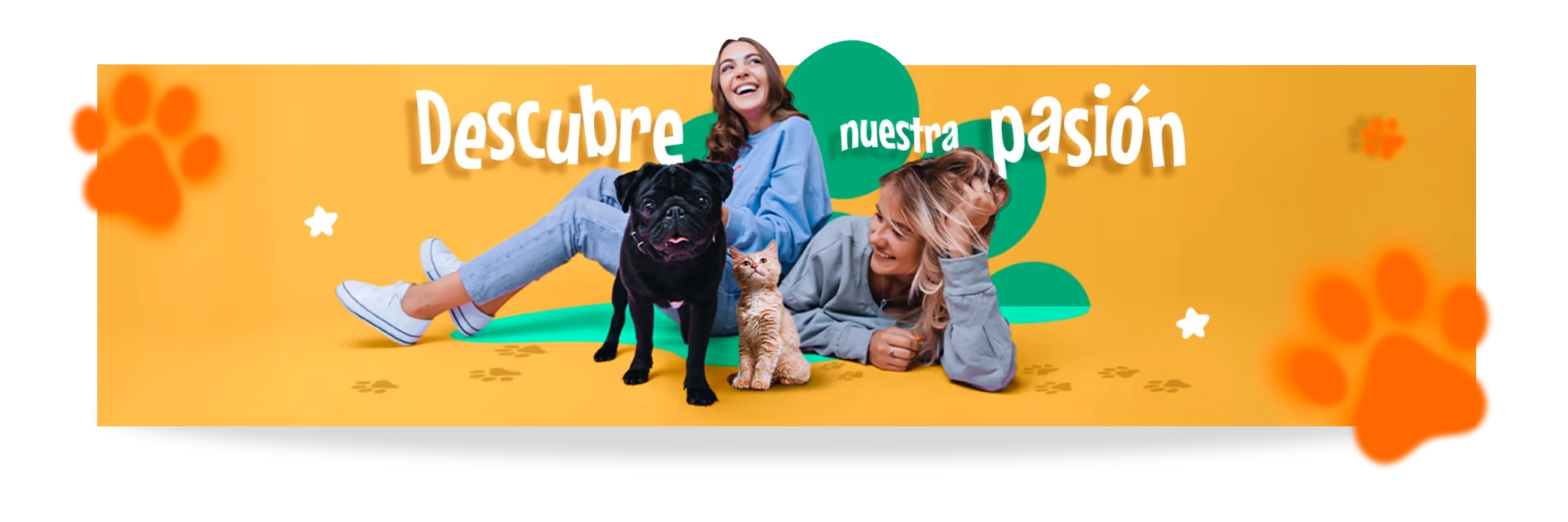 Descubre nuestra pasión perro y gato - Pata Fiel