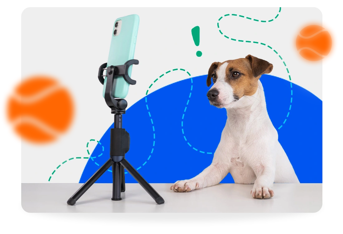 Mascota grabando video - Pata Fiel