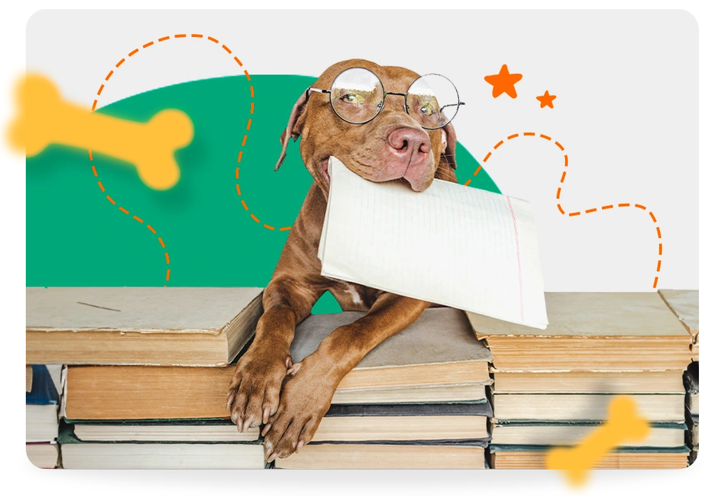 Perro con papel en boca - Pata Fiel