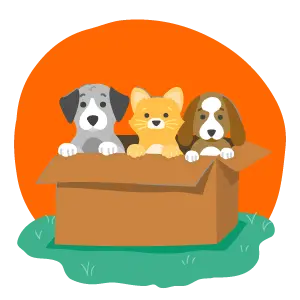 tres mascotas - Pata Fiel